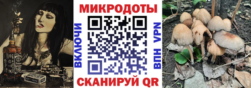 Галлюциногенные грибы прущие грибы  Купить  Заринск 